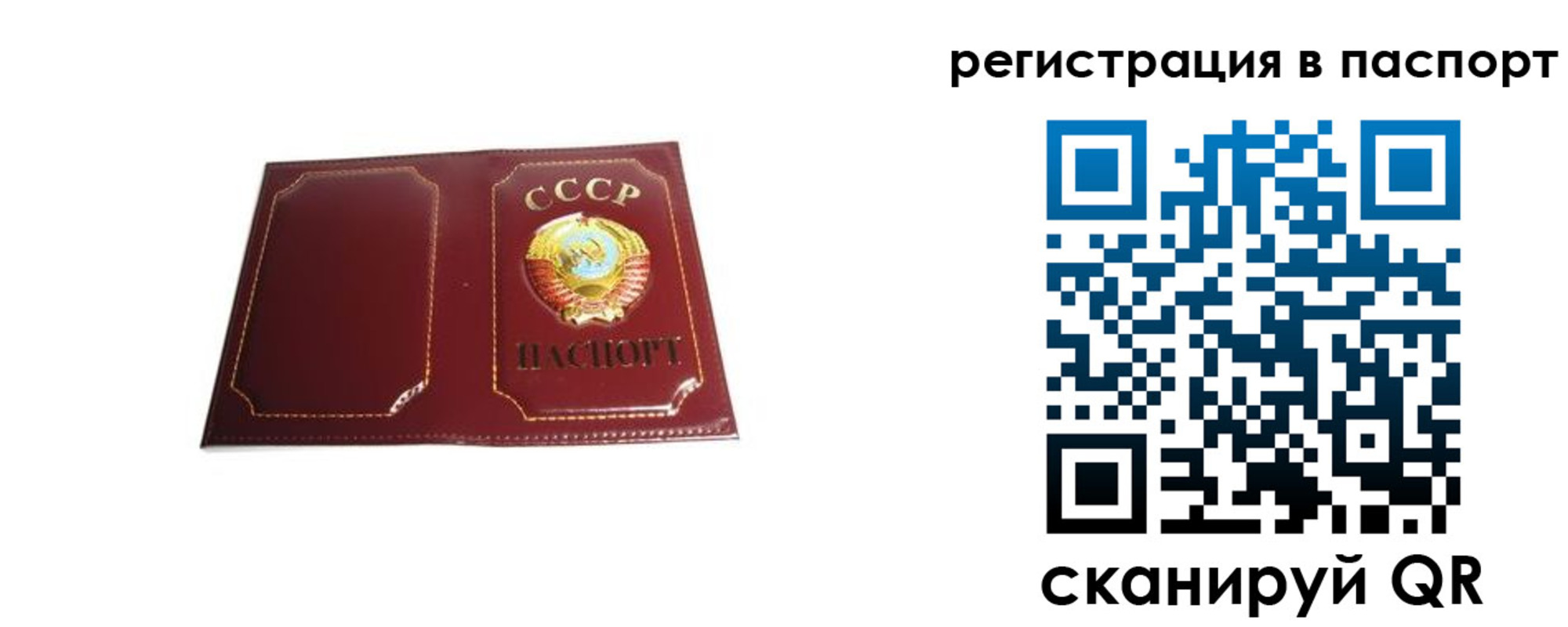 прописка 2025 в Долинске